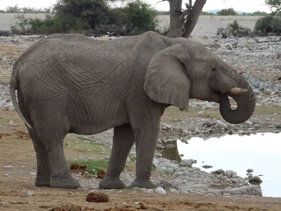 Namibia(43).JPG