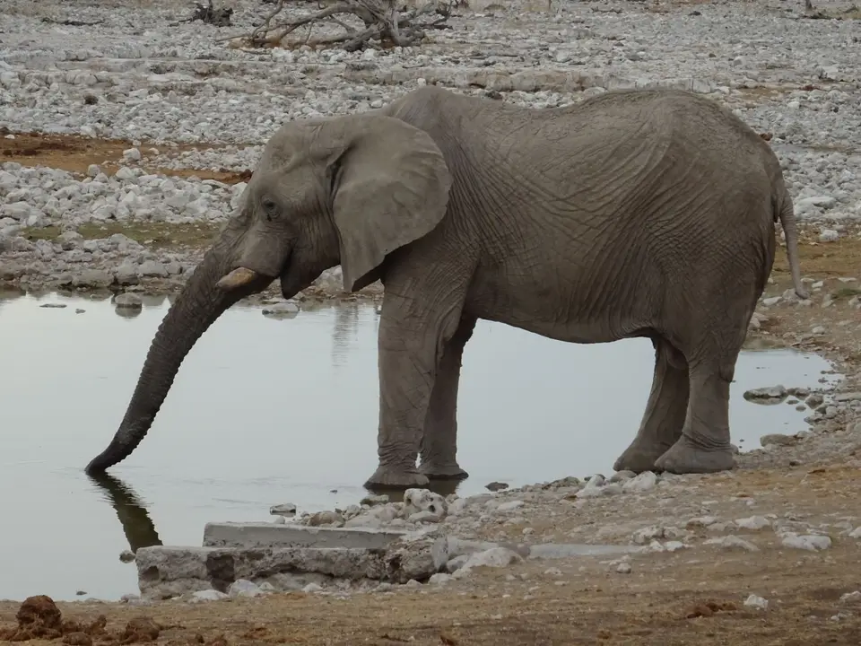 Namibia(44).JPG