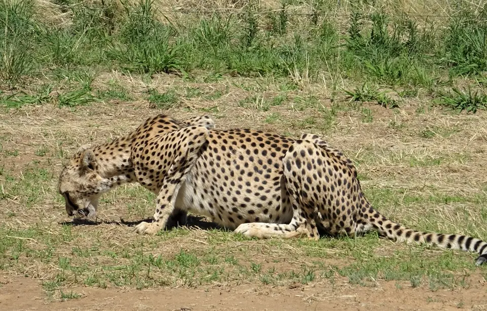 Namibia(7)-2-3-4-5-6-7.JPG