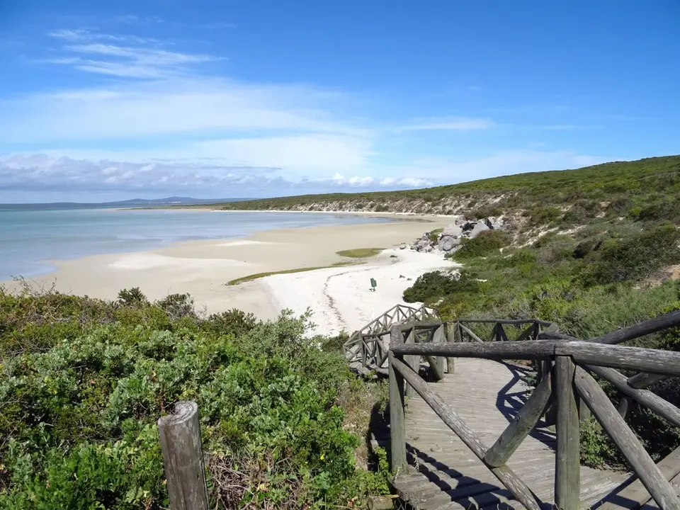 Südafrika0001(133).JPG