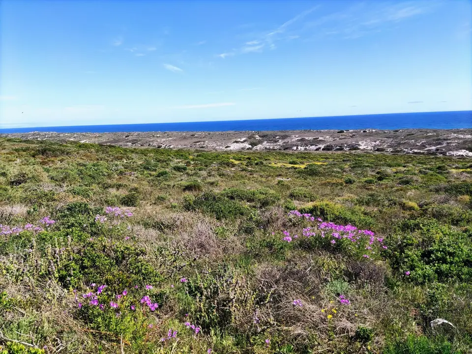 Südafrika0001(136).jpg
