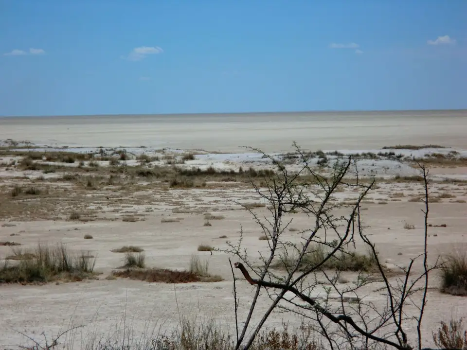 h0218a0c.JPG