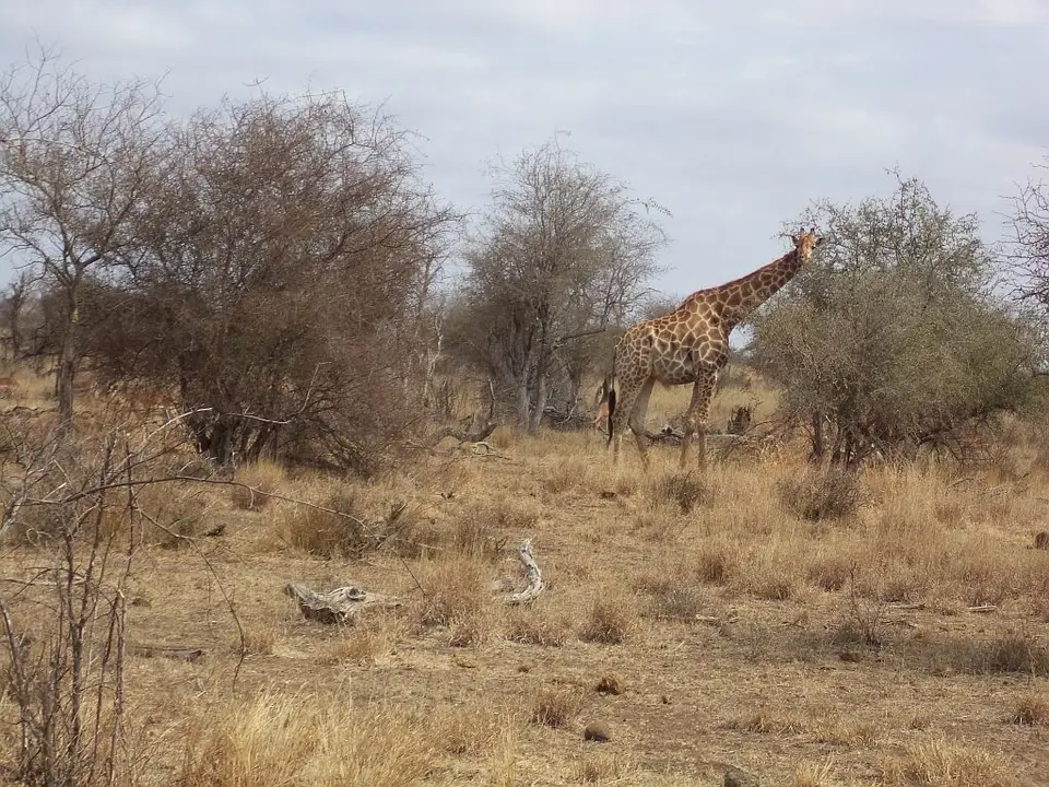 h1dabf8c.jpg