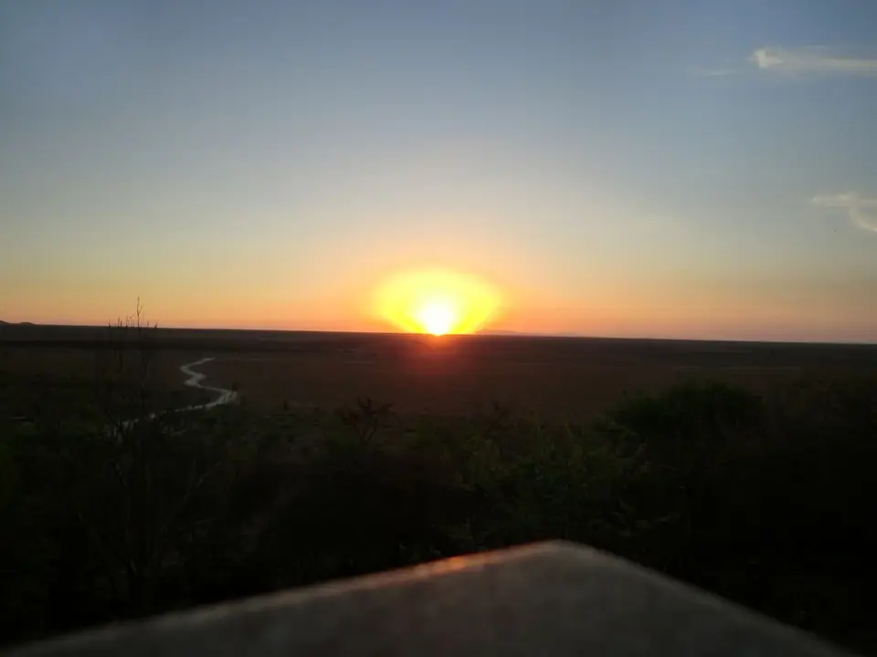 h47591a4.JPG