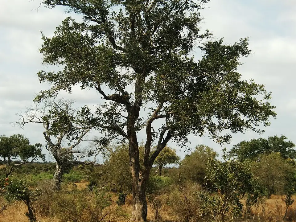 h9a3930e.jpg