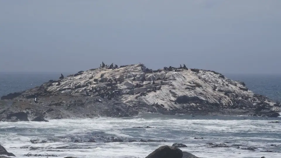 h9ec07c2.JPG