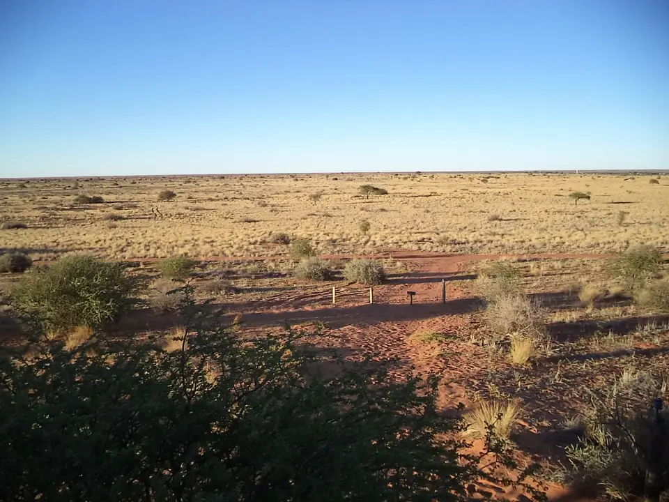hf0b1882.JPG