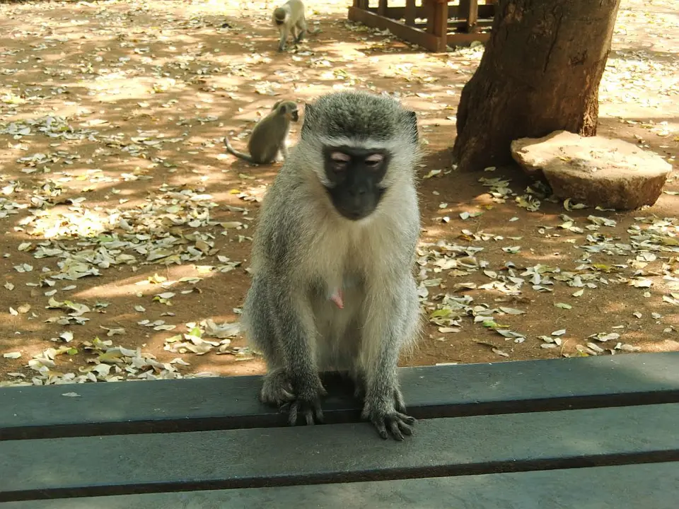 hf9744f4.jpg