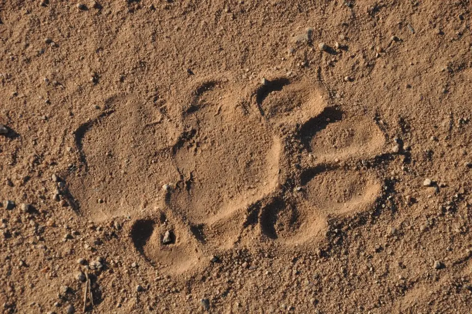hf127bd0.JPG
