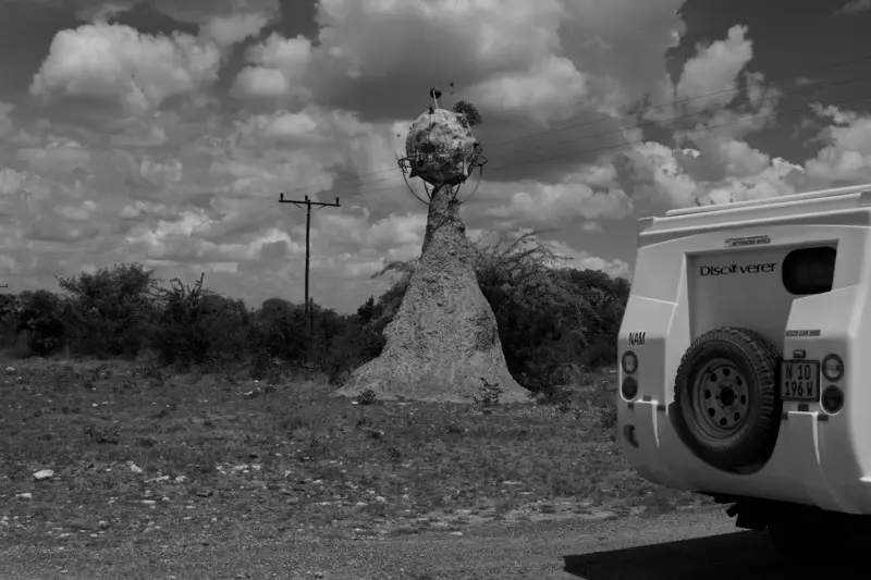 Gweta1_2011-06-28.JPG