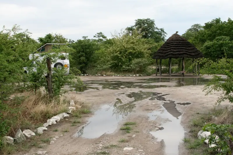 Gweta8.JPG