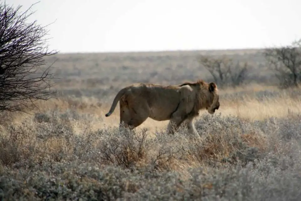 IMG_5976_2012-03-29.JPG