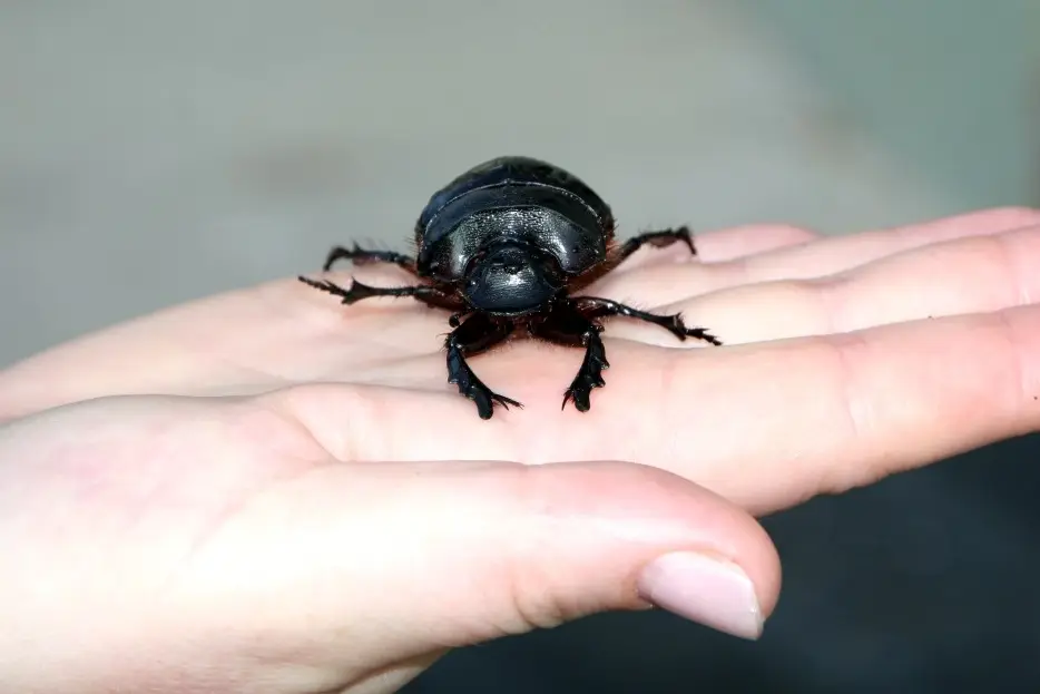 IMG_9436.JPG