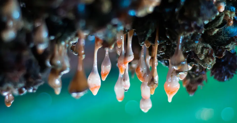 h4619717.jpg