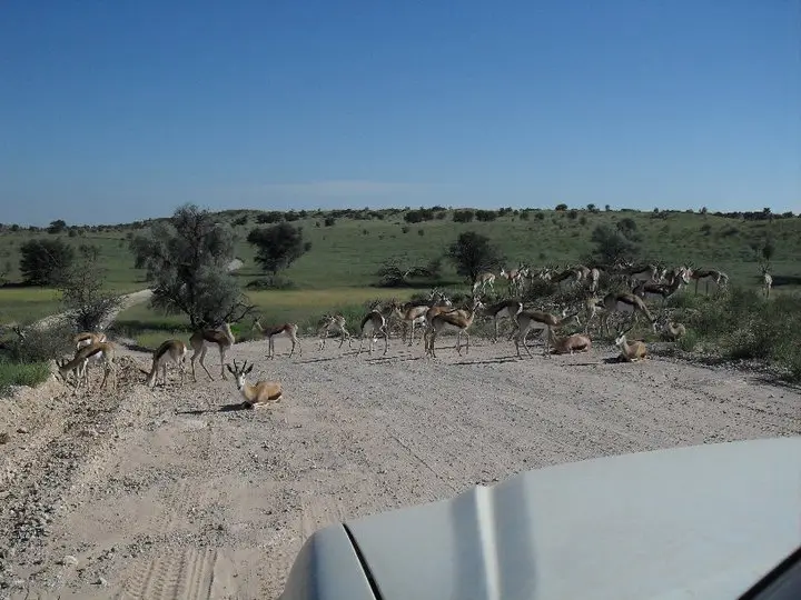 1roadblock.jpg