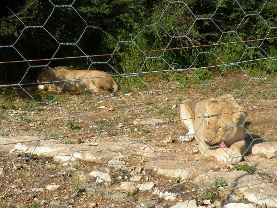 DSCN1020.JPG