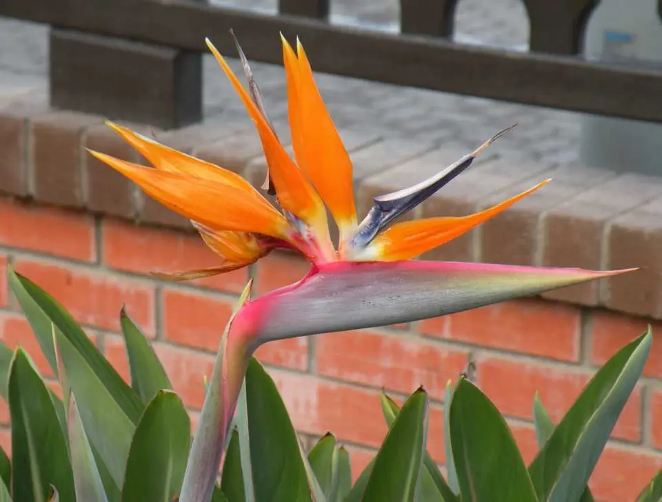 DSCN1281.JPG