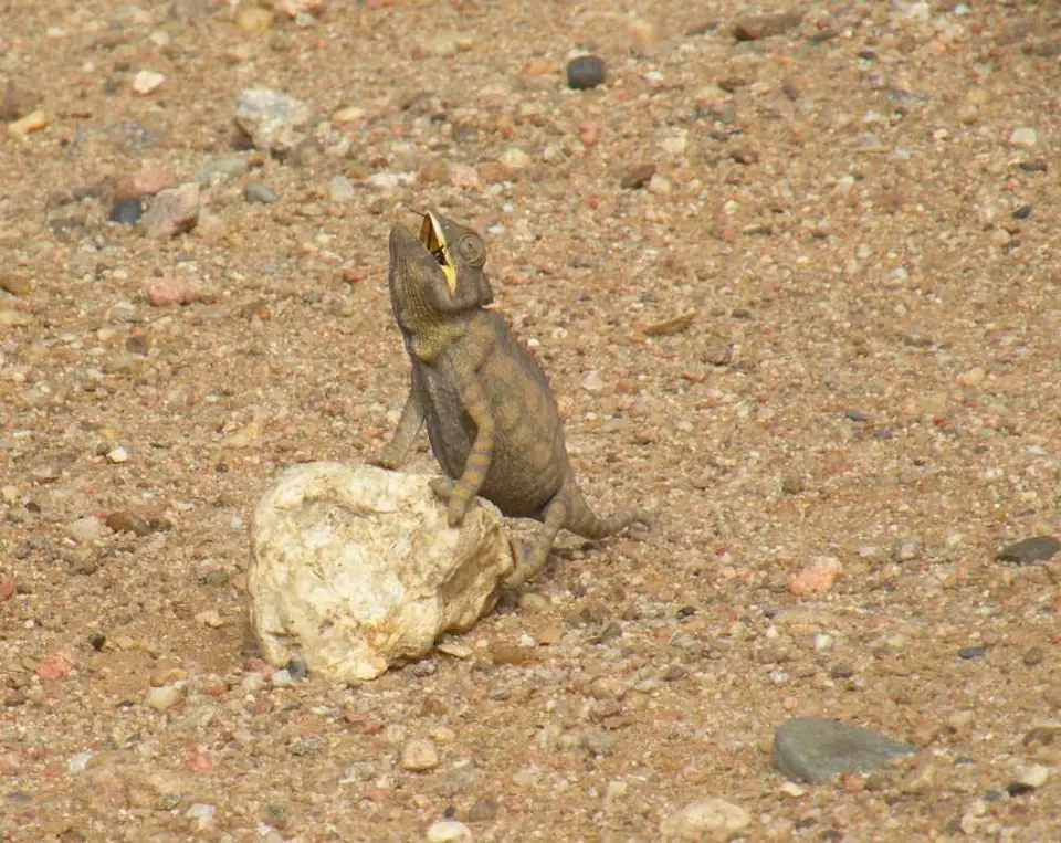 DSCN1344.JPG