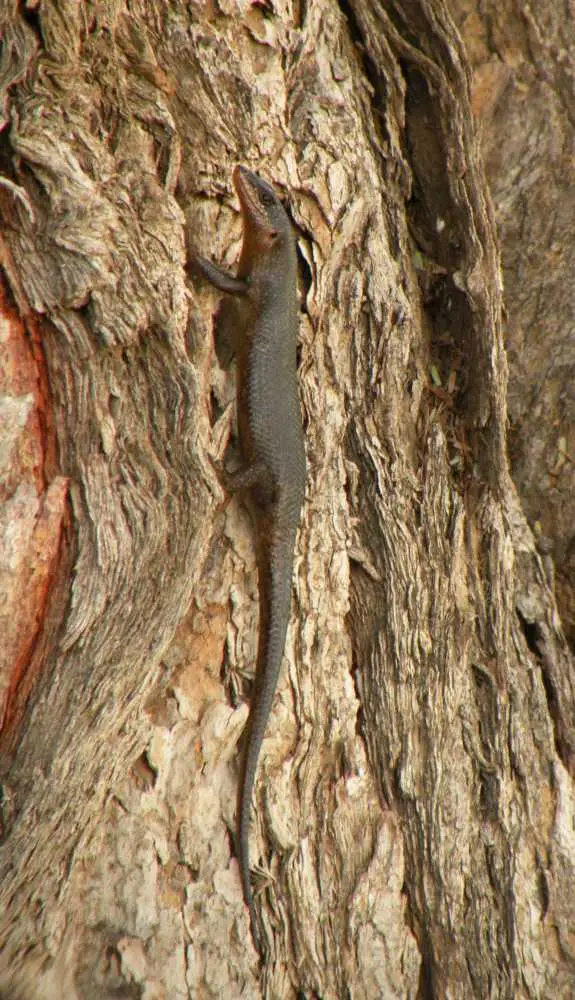 DSCN2140.JPG