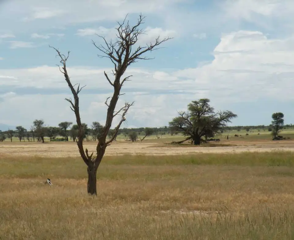 DSCN2217.JPG