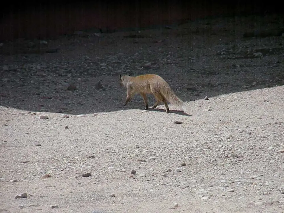 DSCN2391.JPG