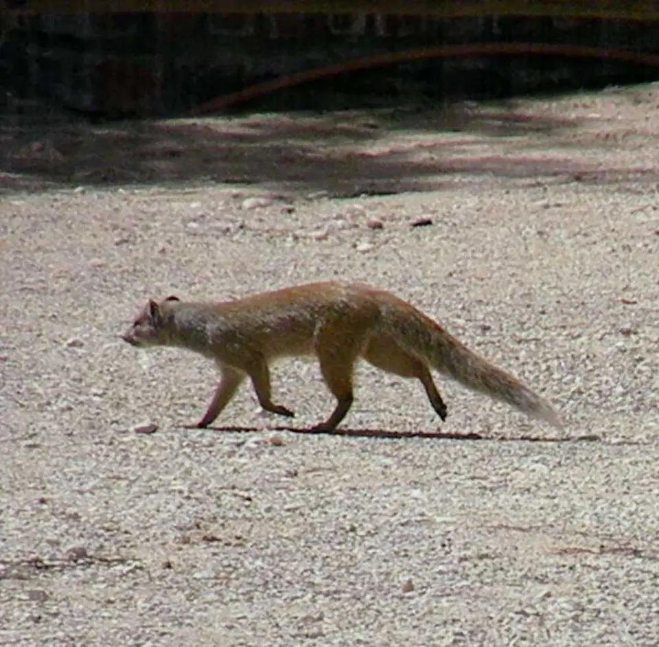 DSCN2392.JPG
