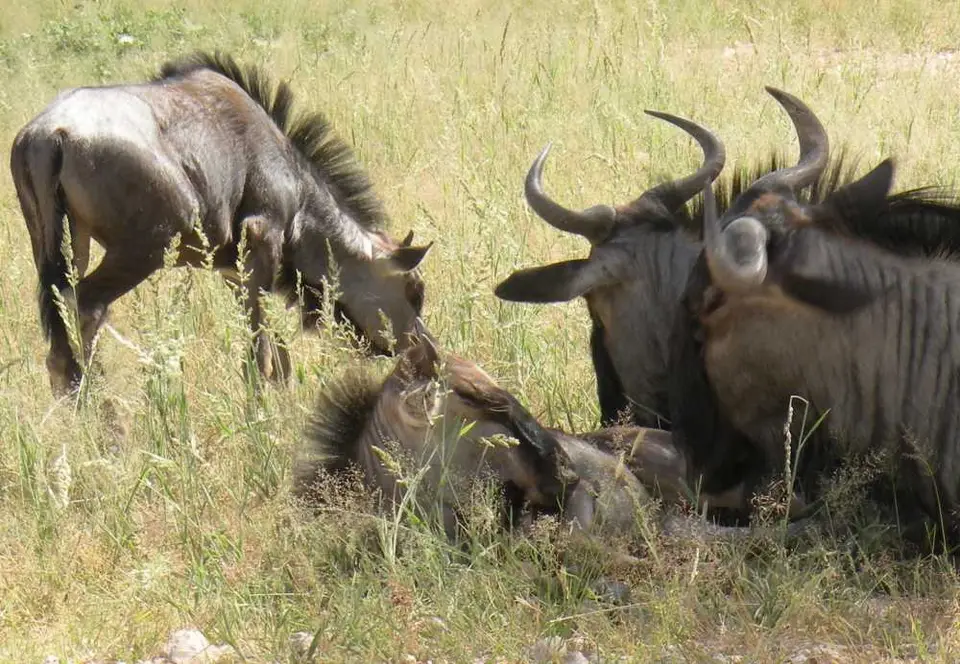DSCN2452.JPG