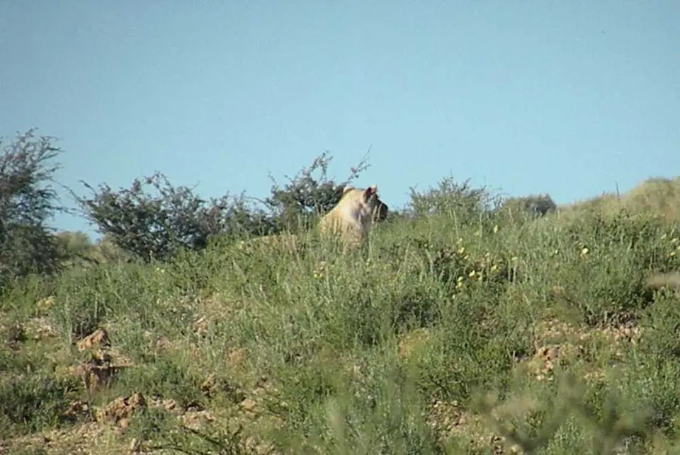 DSCN2480.JPG