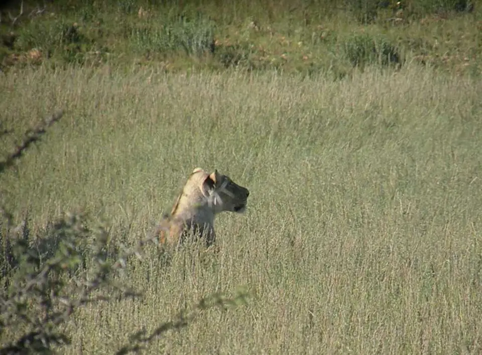 DSCN2497.JPG