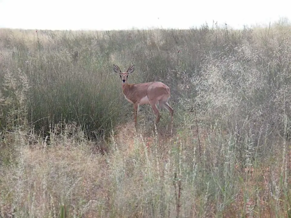 DSCN2519.JPG