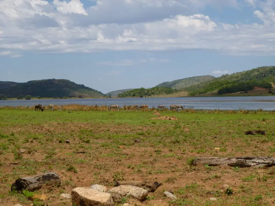 P1000186.JPG