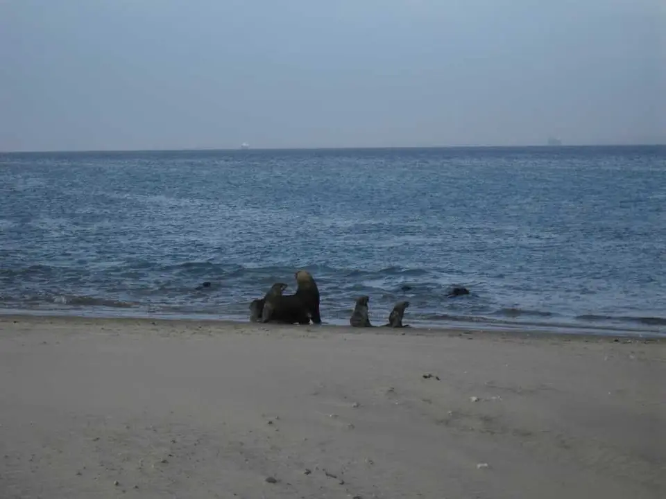SDC11323.JPG