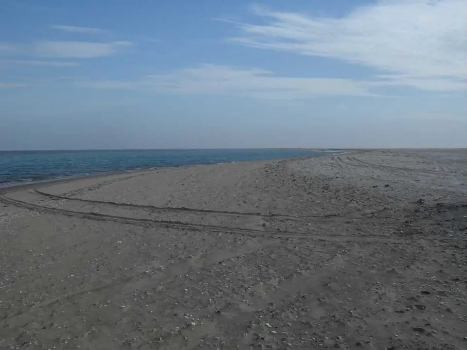 SDC11347.JPG