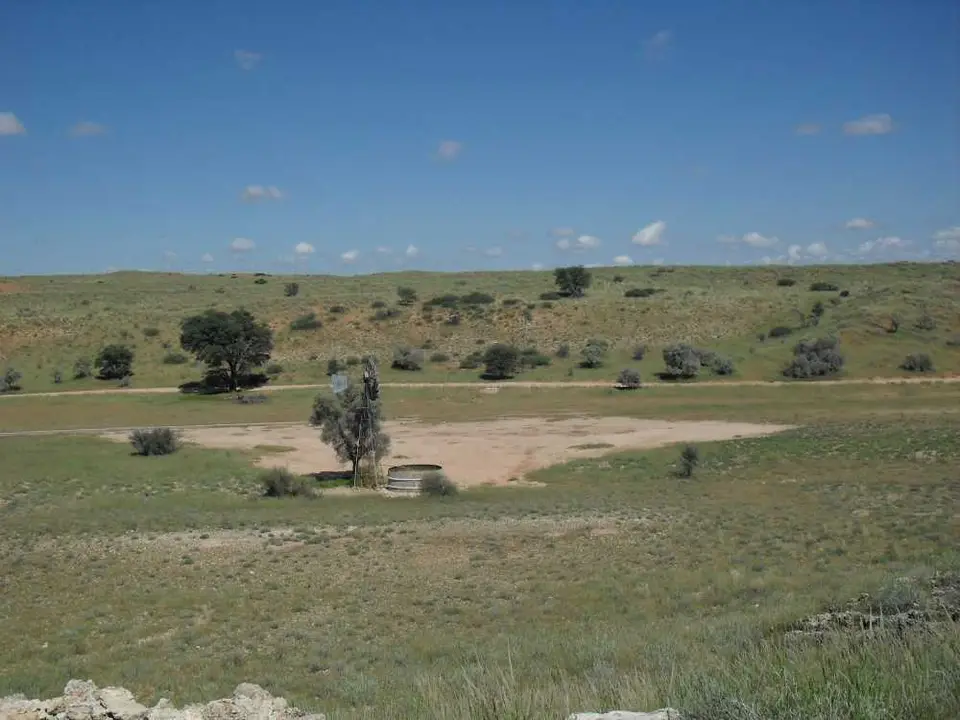 SDC11597.JPG