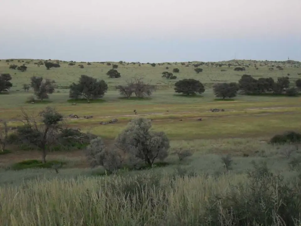 SDC11606.JPG