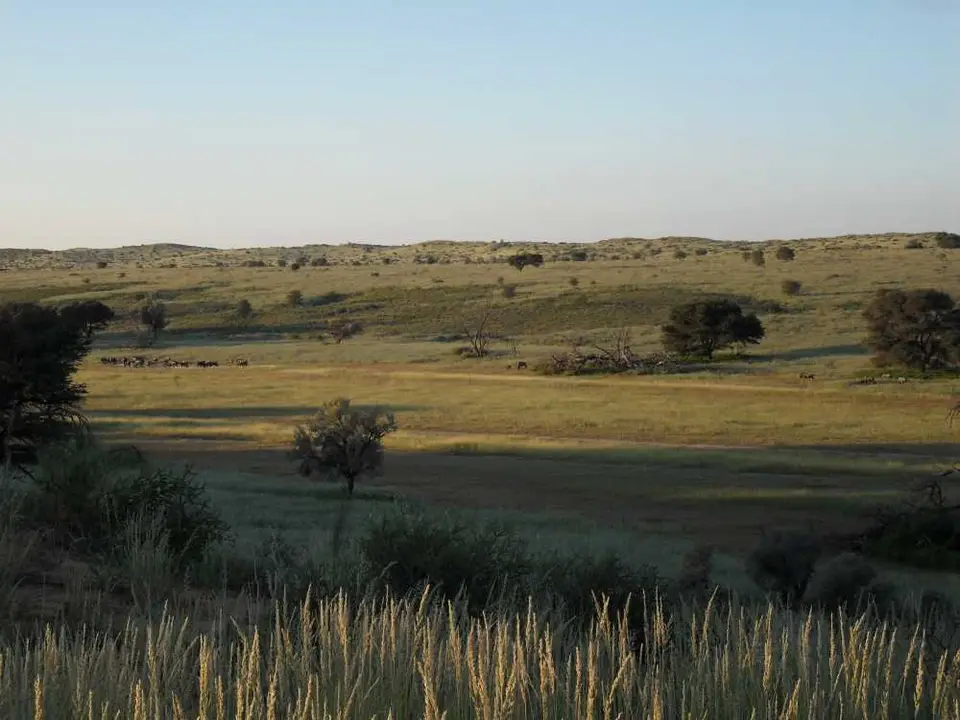 SDC11623.JPG