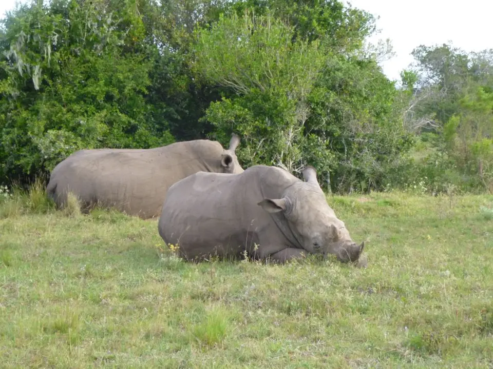 addo_schotia168.jpg