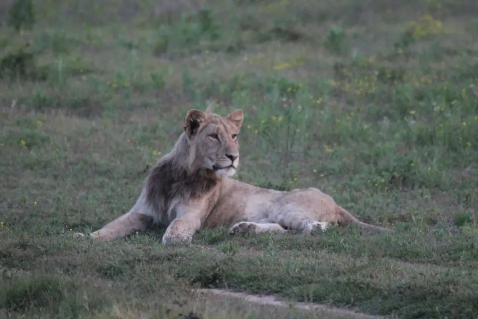 addo_schotia348.jpg