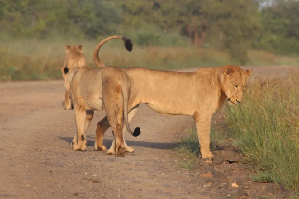 h429d778.JPG