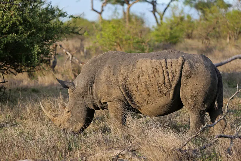 529A1156.jpg