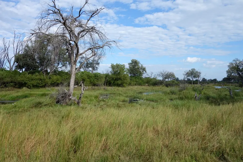h2769816.jpg