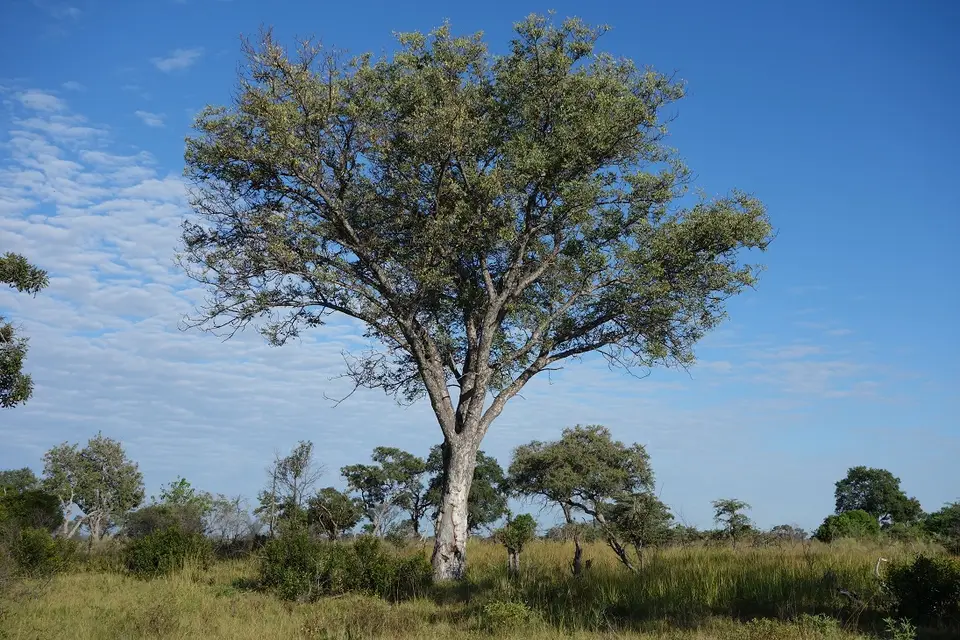 h368109e.JPG