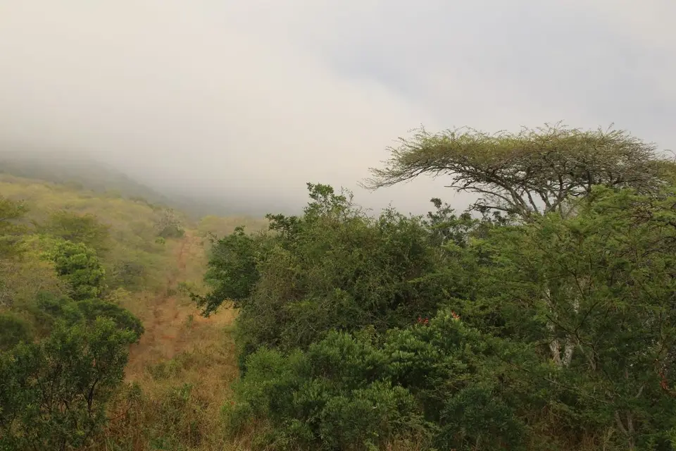 h3756160.JPG