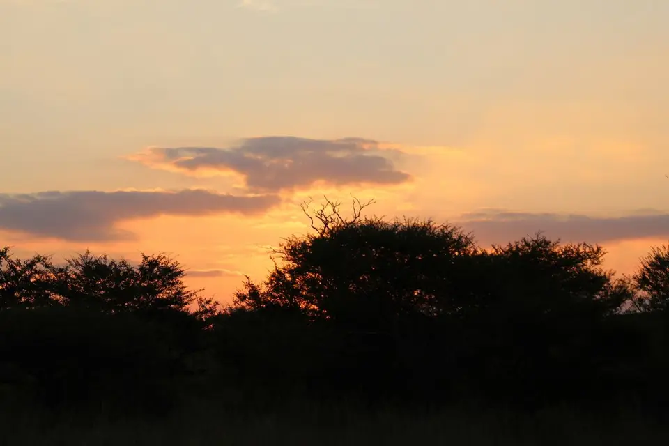 h6129005.JPG