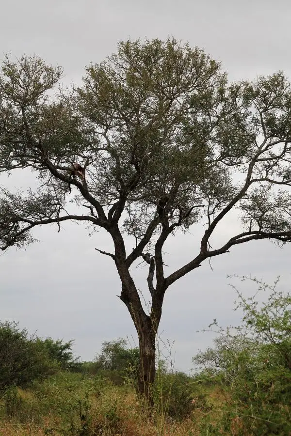 h63e7ab2.jpg
