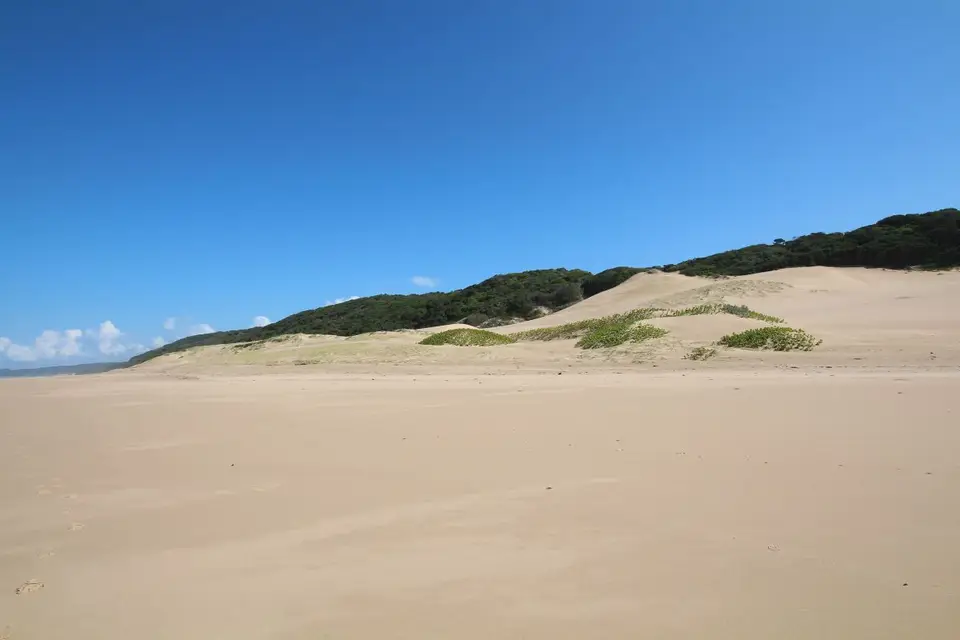 h7e51d92.JPG