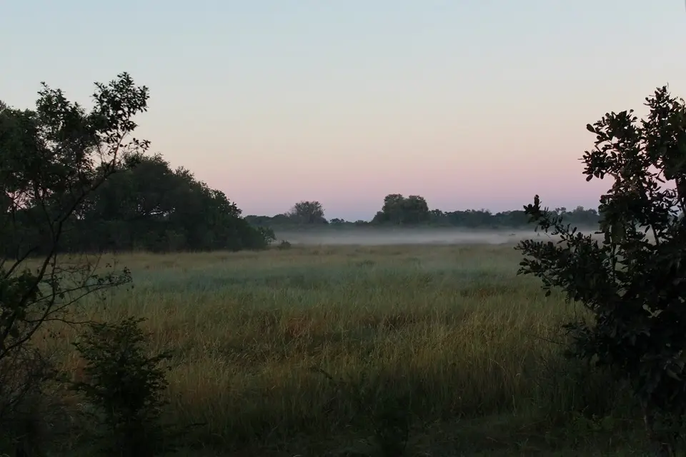 h926027d.JPG