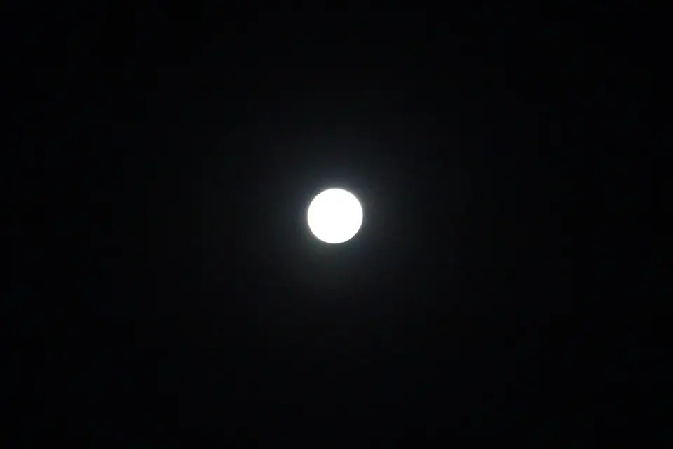 h9919725.JPG