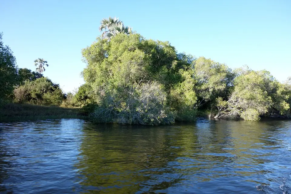 hf8fe09c_2014-08-22.jpg