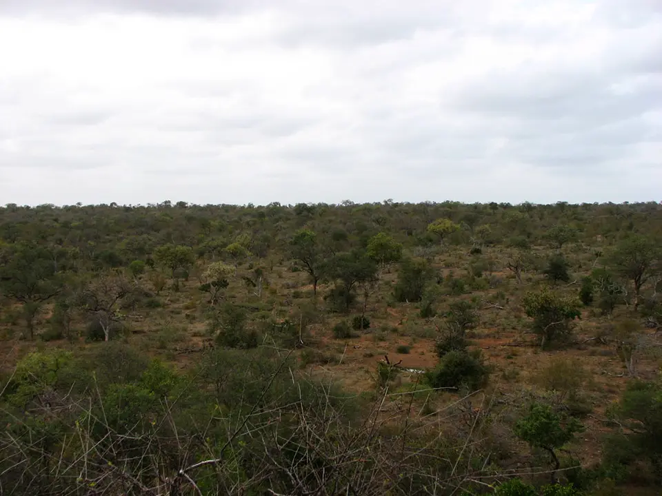 Afrika-I-119.jpg